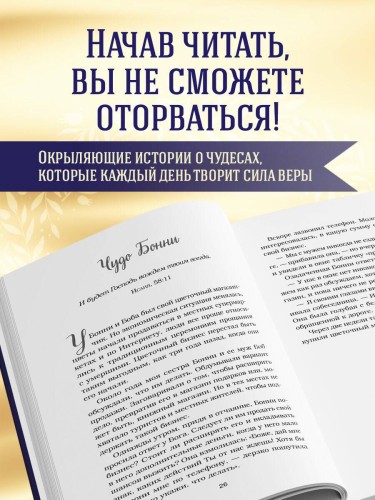 Куриный бульон для души. Чудеса случаются (подарочное оформление)