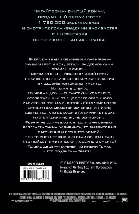 Бегущий в Лабиринте.webp