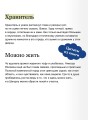 Киоко. Милосердие солнца