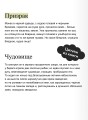 Русская готика. Вечные истории