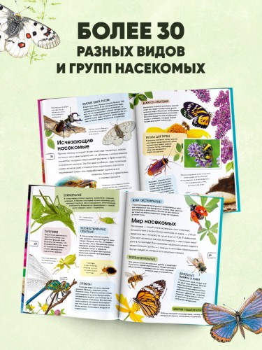 Насекомые