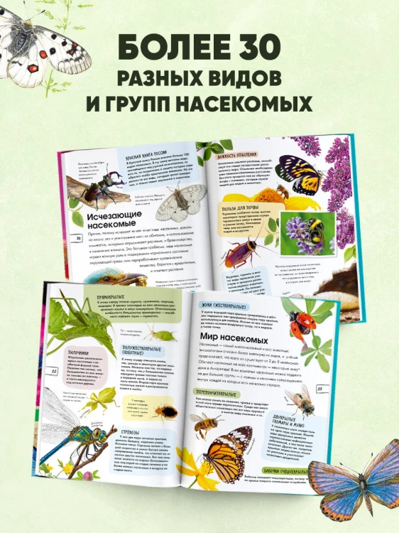 Насекомые