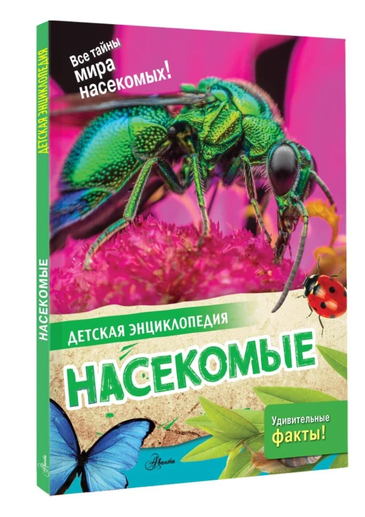Насекомые