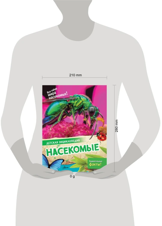 Насекомые