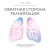 Обратная сторона реанимации. История о том, как один врач привнес человечность в отделение интенсивной терапии