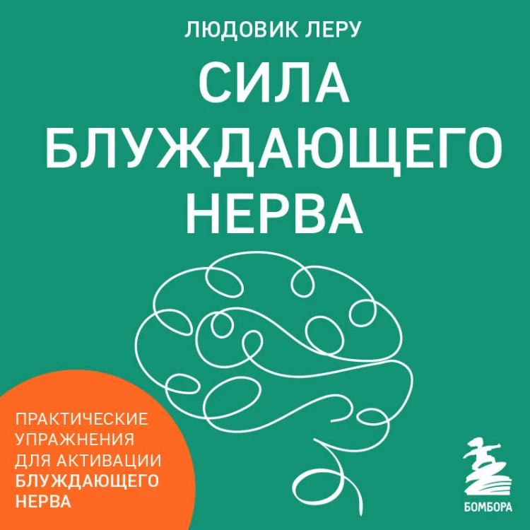 Сила блуждающего нерва. Как использовать поливагальную теорию в борьбе со стрессом, тревогой и неуверенностью в себе