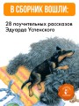 Как правильно любить собак. Рассказы