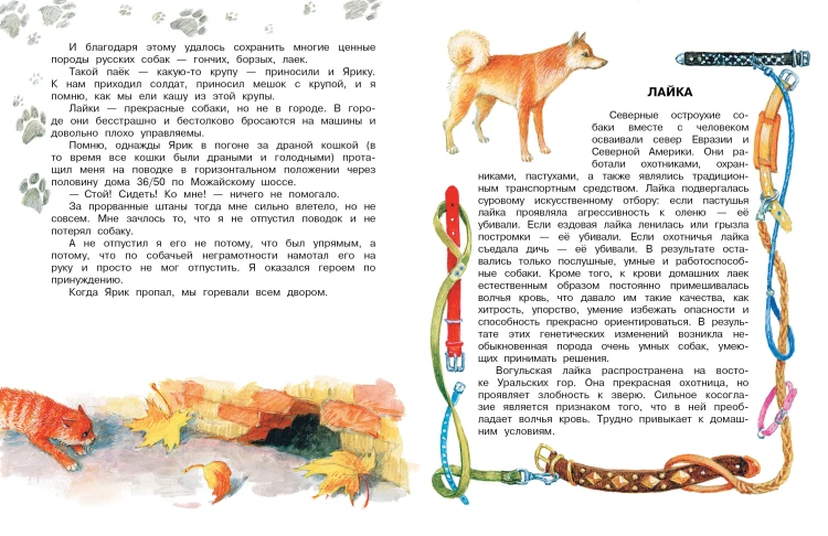 Как правильно любить собак. Рассказы
