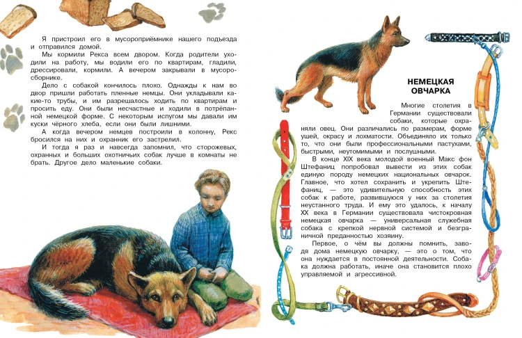 Как правильно любить собак. Рассказы