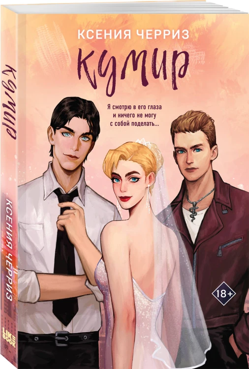 Комплект из двух книг: Поклонница + Кумир