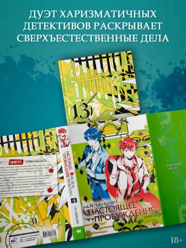 Настоящее пробуждение. Real Awakening. Книга 4