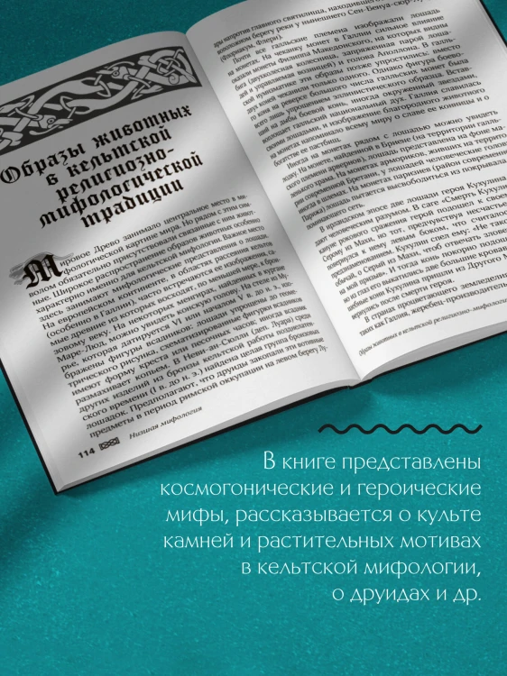 Мифы кельтских народов. Боги, герои, силы природы, символы, мотивы, ритуалы, друиды