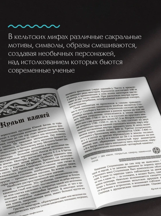 Мифы кельтских народов. Боги, герои, силы природы, символы, мотивы, ритуалы, друиды