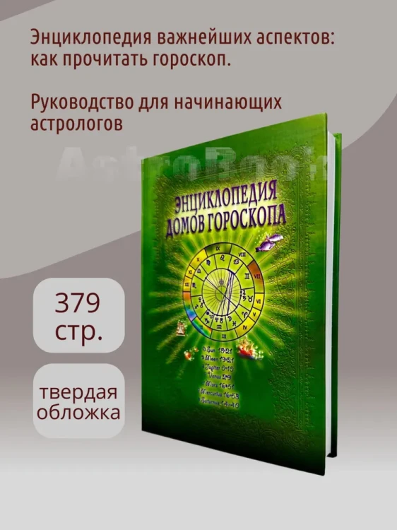 3.webp