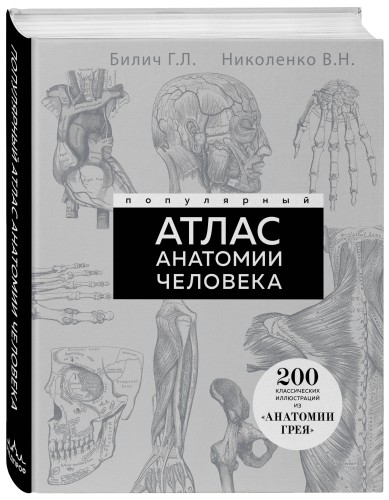 Популярный атлас анатомии человека. 200 классических иллюстраций из «Анатомии Грея»