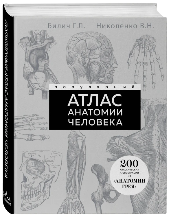 Популярный атлас анатомии человека. 200 классических иллюстраций из «Анатомии Грея»