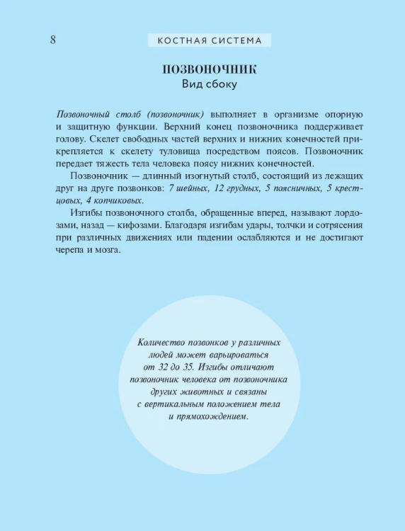 Популярный атлас анатомии человека. 200 классических иллюстраций из «Анатомии Грея»