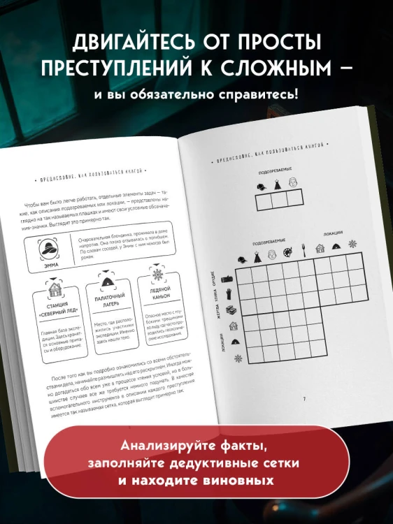 Тайна преступления. Захватывающие детективные задачки для развития логики