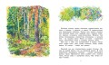 Лесные тайнички