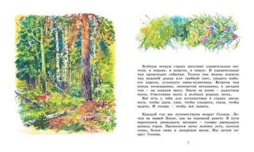 Лесные тайнички