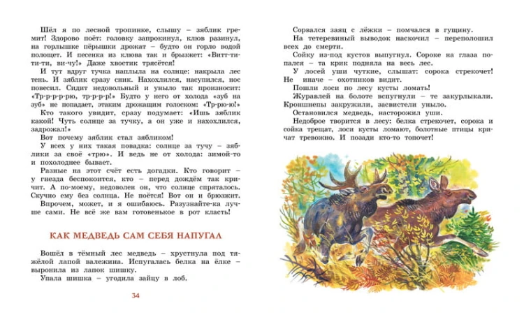 Лесные тайнички