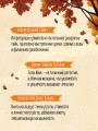 Убийство у алтаря