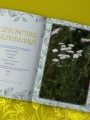 Шаманское травничество. Сила растений. Рецепты наших предков