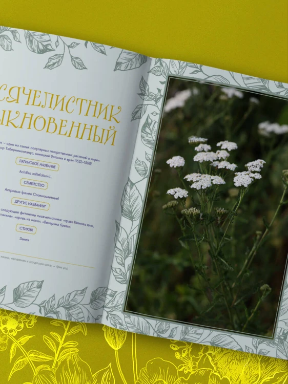 Шаманское травничество. Сила растений. Рецепты наших предков