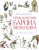 Приключения барона Мюнхгаузена (ил. А. Елисеева, послесловие М. Столярова)