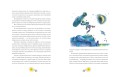 Приключения барона Мюнхгаузена (ил. А. Елисеева, послесловие М. Столярова)