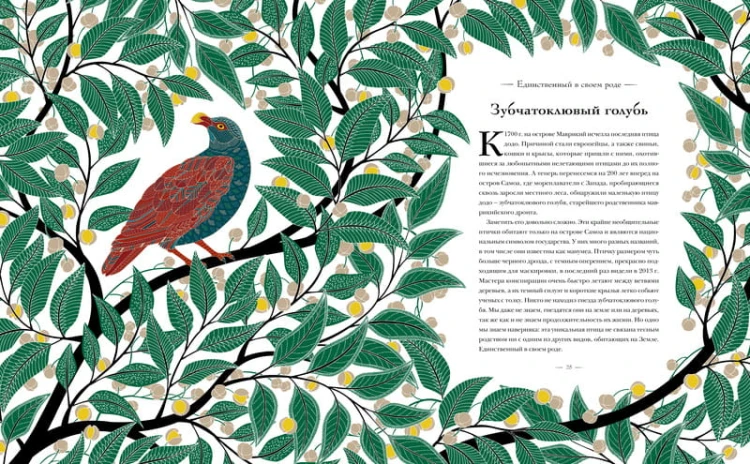 Книга исчезающих животных для неравнодушных сердец