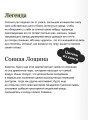 Легенда о Сонной лощине. Вечные истории