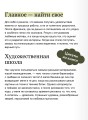 Selcha Uni. Артбук