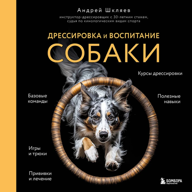 Дрессировка и воспитание собаки (новое оформление)