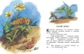 Сказки и рассказы