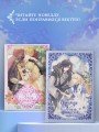 Однажды я стала принцессой. Книга 2 (новелла)