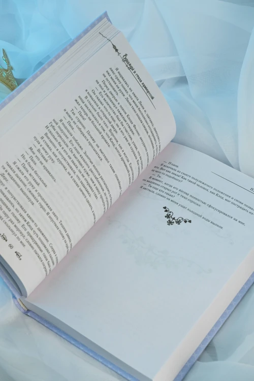 Однажды я стала принцессой. Книга 2 (новелла)