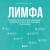 Лимфа. Как запустить естественный дренаж, избавиться от отеков и омолодить тело изнутри