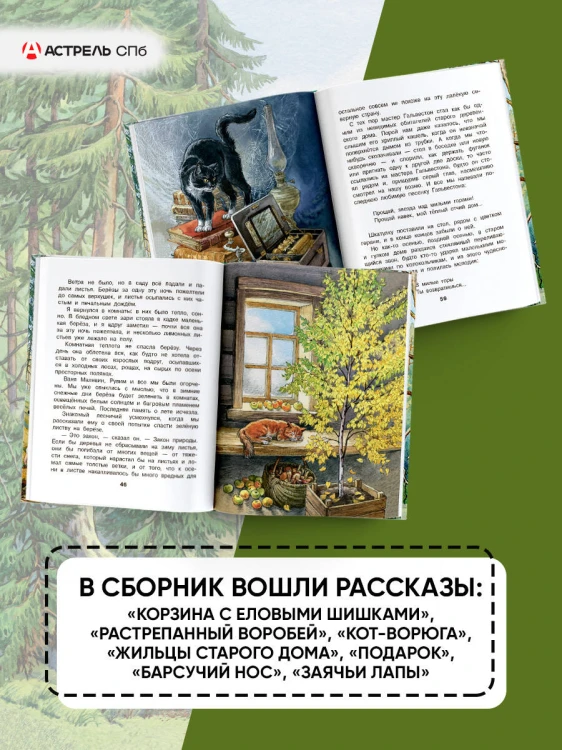 Корзина с еловыми шишками