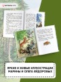 Корзина с еловыми шишками