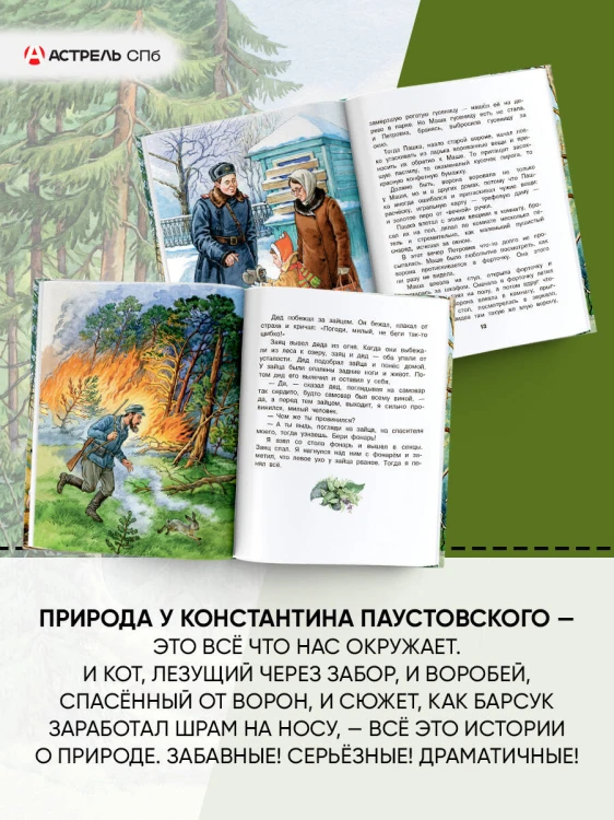 Корзина с еловыми шишками