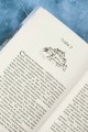 Ледяная старуха в Снежном замке