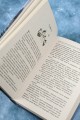 Ледяная старуха в Снежном замке