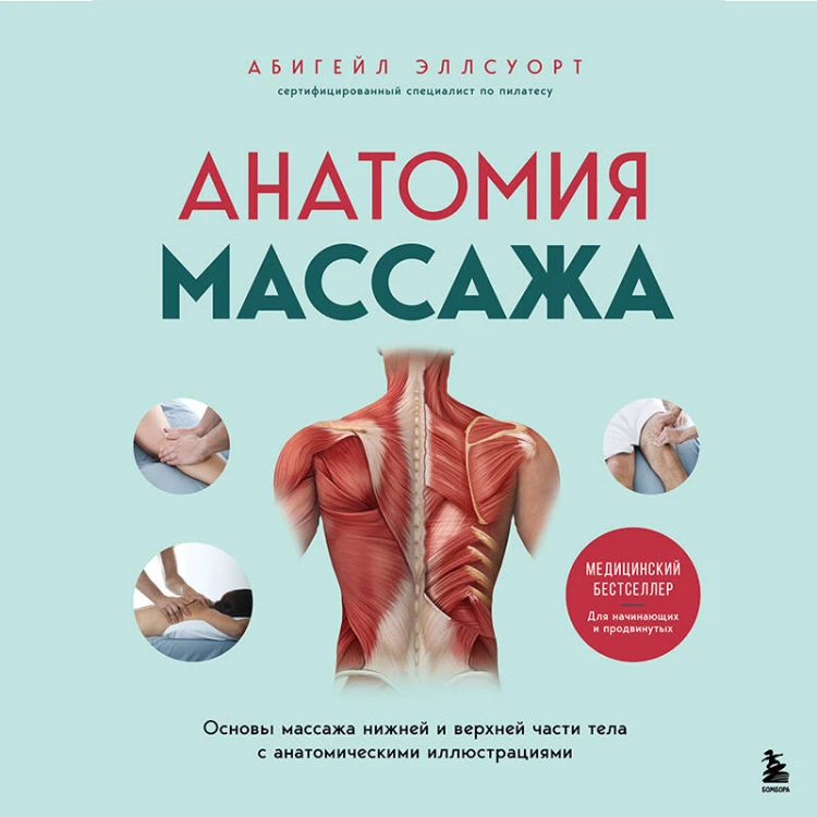 Анатомия массажа. Основы массажа нижней и верхней части тела с анатомическими иллюстрациями