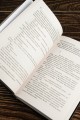 Меч Предназначения (новая обложка)