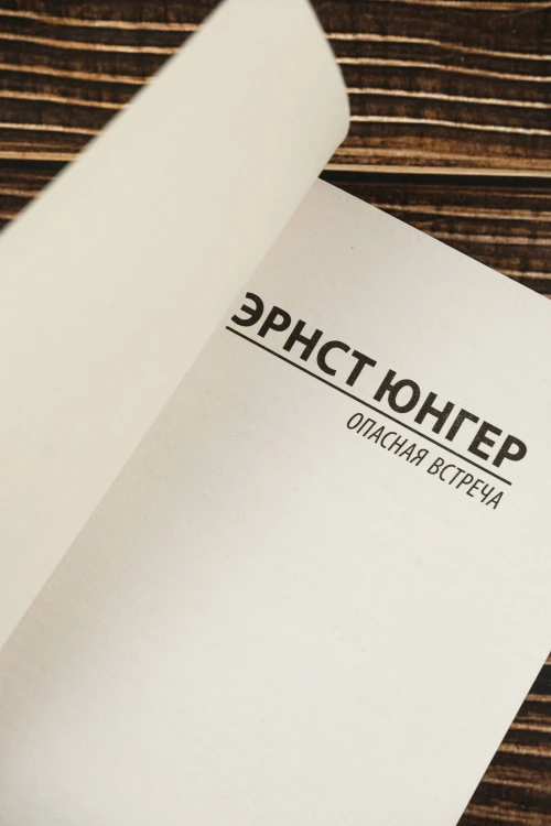 Опасная встреча