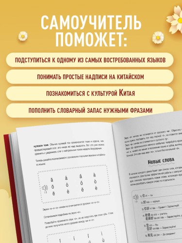 Самоучитель китайского языка. Учим легко, говорим уверенно!
