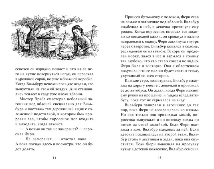 Паутинка Шарлотты