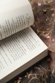 Коллекция темных историй. Поддайся искушению