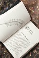 Коллекция темных историй. Поддайся искушению